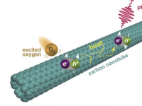 化学家窥视了碳纳米管中的新型荧光