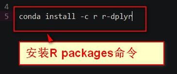 如何用anaconda安装r语言