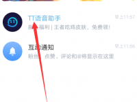 教程资讯：tt语音怎么领皮肤 tt语音领皮肤的操作流程