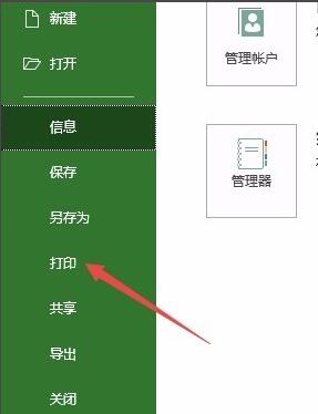 Project如何打印特定页面