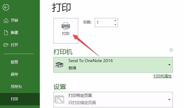 Project如何打印特定页面