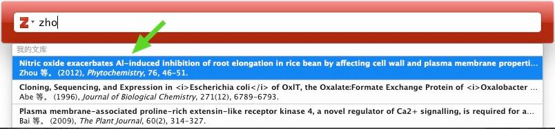 Zotero如何在Word中插入引用文献？