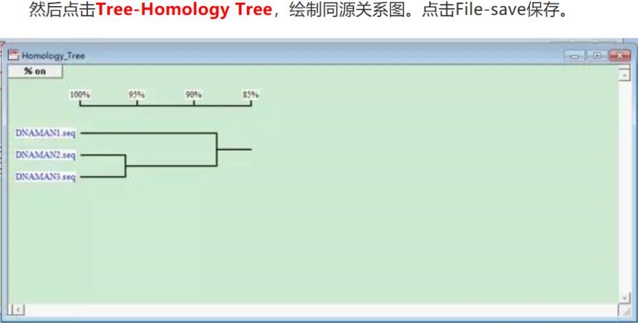 如何用DNAMAN 对比核酸序列