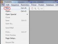 教程资讯：怎么用DNAMAN将碱基序列译成氨基酸序列 DNAMAN使用教程