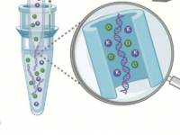 玻璃纳米孔通过针像面条一样拉动DNA