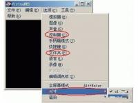 教程资讯：VirtuaNES模拟器怎么设置手柄 VirtuaNES模拟器设置手柄的方法