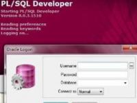 教程资讯：pl/sql developer中文乱码 pl/sql developer中文乱码的处理方法介绍 华军软件园