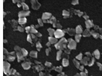 荧光纳米金刚石成功注入活细胞