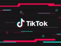  Desi tiktok的竞争对手Mitron从谷歌游戏商店消失 