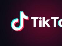  TikTok的新任CEO是迪士尼公司的高管他推出了迪士尼Plus 