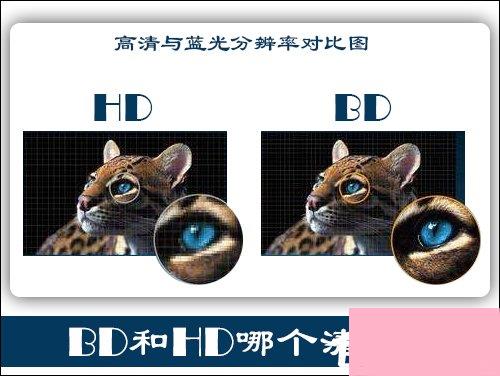 BD和HD哪个清晰？蓝光和超清哪个好？