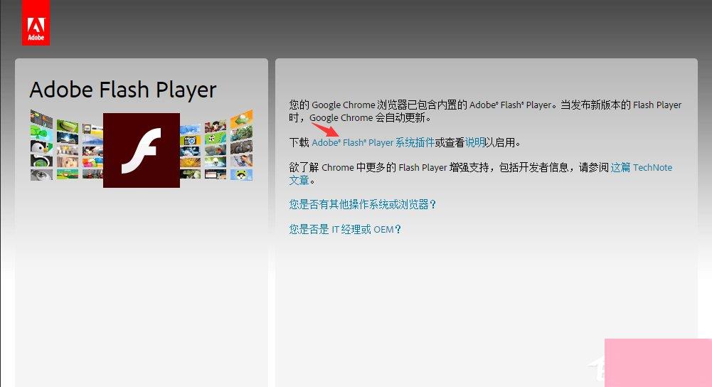 flashplayer播放器怎么升级？Adobe flash player的更新方法