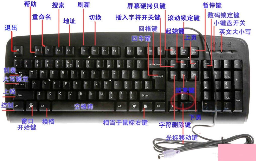 Windows电脑键盘按键的功能介绍