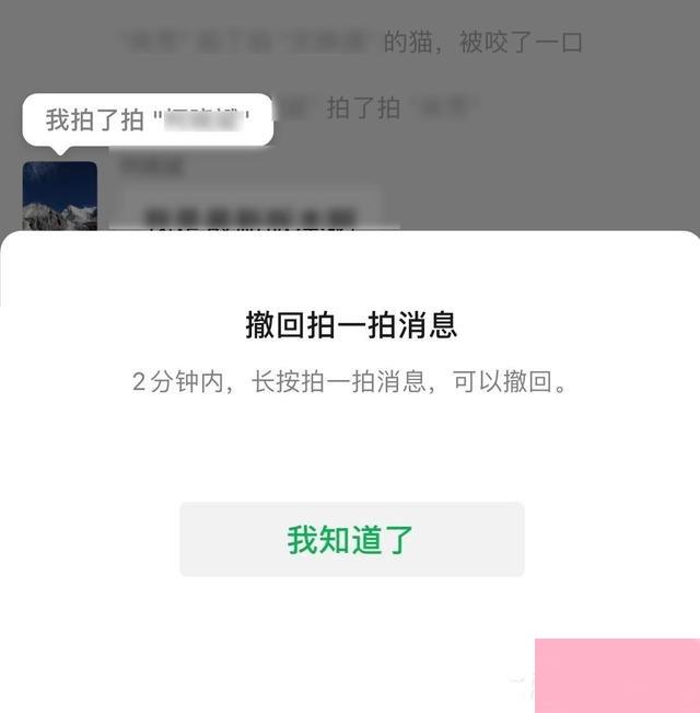 微信拍一拍可以撤回了