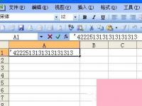 电脑系统小知识：如何在Excel中输入身份证号