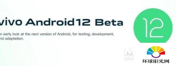 Android12Beta1适配哪些手机-支持哪些机型