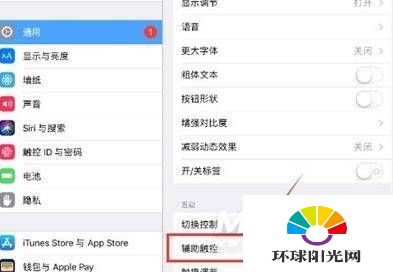 iPadPro2021悬浮窗在哪设置-怎么开启悬浮球