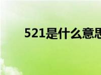 521是什么意思图片（521什么意思）