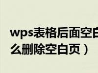 wps表格后面空白页怎么删除（wps word怎么删除空白页）