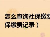 怎么查询社保缴费记录社保官网（怎么查询社保缴费记录）