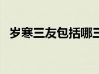 岁寒三友包括哪三友（岁寒三友是哪三友）