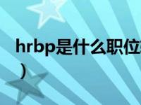 hrbp是什么职位软件开发（hrbp是什么职位）