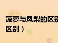 菠萝与凤梨的区别小视频（菠萝和凤梨有什么区别）