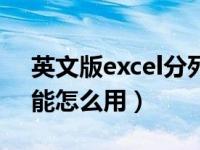 英文版excel分列功能在哪里（excel分列功能怎么用）