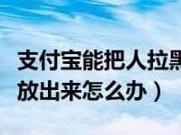 支付宝能把人拉黑么（支付宝怎么把拉黑的人放出来怎么办）