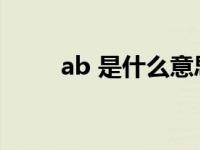 ab 是什么意思（abo是什么意思）