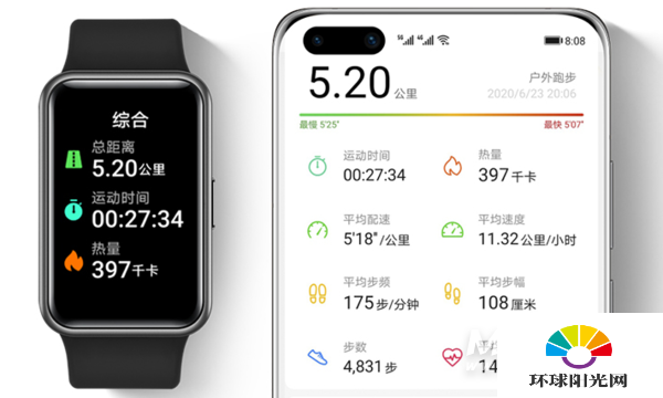 华为fit和小米手环6哪个好-区别是什么-参数对比