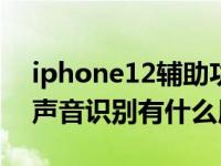 iphone12辅助功能声音识别闪退（iphone声音识别有什么用）