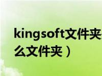 kingsoft文件夹是什么意思（kingsoft是什么文件夹）