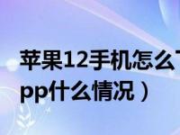 苹果12手机怎么下载app（苹果12下载不了app什么情况）