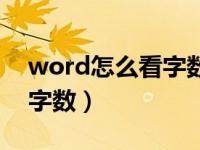 word怎么看字数不包括表格（word怎么看字数）