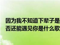 因为我不知道下辈子是否遇见你dj（因为我不知道下辈子是否还能遇见你是什么歌）