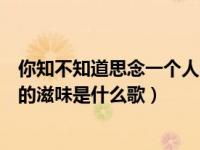 你知不知道思念一个人的滋味歌词（你知不知道思念一个人的滋味是什么歌）