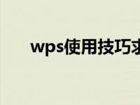 wps使用技巧求和（wps求和怎么用）