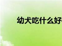 幼犬吃什么好得快（幼犬吃什么好）