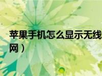 苹果手机怎么显示无线局域网密码（手机怎么开启无线局域网）