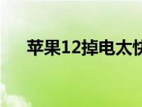 苹果12掉电太快了（苹果12用电太快）