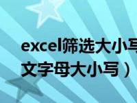 excel筛选大小写字母（怎么转变excel的英文字母大小写）