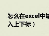 怎么在excel中输入上标（如何在excel里输入上下标）