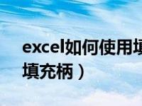 excel如何使用填充柄（在excel中如何使用填充柄）