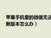 苹果手机里的微信无法升到最新版（iphone微信更新不了新版本怎么办）
