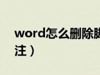 word怎么删除脚注格式（word怎么删除脚注）