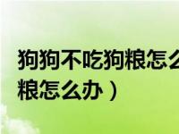 狗狗不吃狗粮怎么办几天能矫正（狗狗不吃狗粮怎么办）