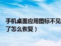手机桌面应用图标不见了怎么恢复（手机桌面应用图标不见了怎么恢复）