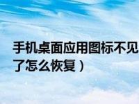 手机桌面应用图标不见了怎么恢复（手机桌面应用图标不见了怎么恢复）