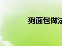 狗面包做法（狗能吃面包吗）